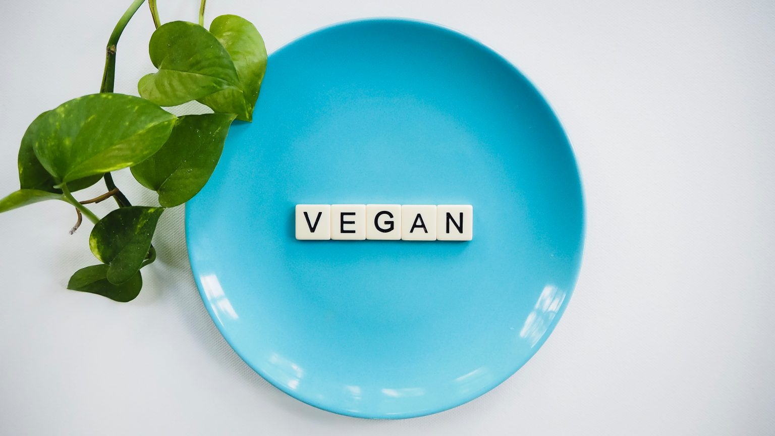 Vegan Diet The Ultimate Guide for Beginners Her Own Health